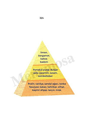 324 Kadın Parfüm Edp 50 ml Oriental - Mnms50324