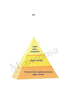 384 514 Kadın/erkek Parfüm Edp 50 ml Floral/oriental - Mnms50384514