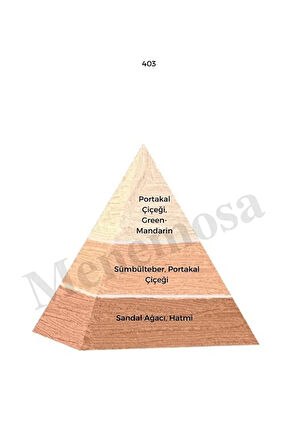 403 Kadın Parfüm Edp 50 ml Floral - Mnms50403