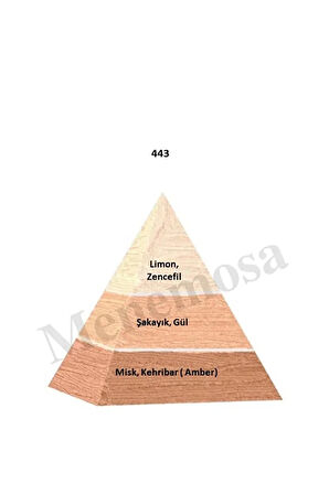 443 Parfüm edp 50 ml Floral