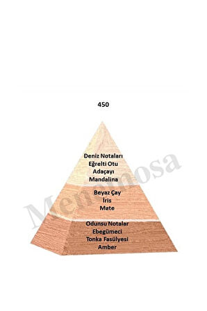 450 Kadın Parfüm Edp 50 ml Floral - Mnms50450