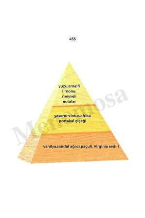 455 Kadın Parfüm Edp 50 ml Oriental - Mnms50455