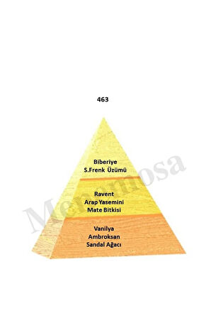 463 Kadın Parfüm Edp 50 ml - Mnms50463