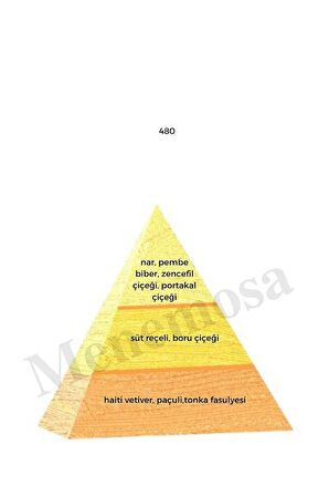 480 Kadın Parfüm Edp 50 ml Oriental - Mnms50480