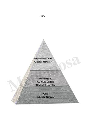 490 Unisex Parfüm Edp 50 ml Woody mnms50490