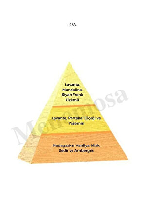 514 228 Erkek/kadın Parfüm Edp 50 ml Oriental - Mnms505142228