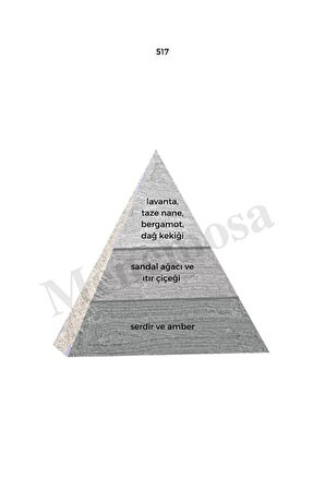 517 Erkek Parfüm Edp 50 ml Woody - Mnms50517