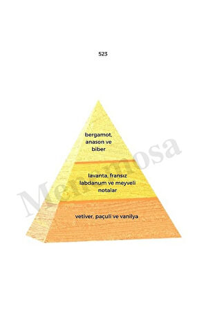 523 Erkek Parfüm Edp 50 Ml Oriental