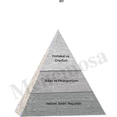No: 528 + 611 Erkek Parfüm EDP 50 ml Fresh / Woody