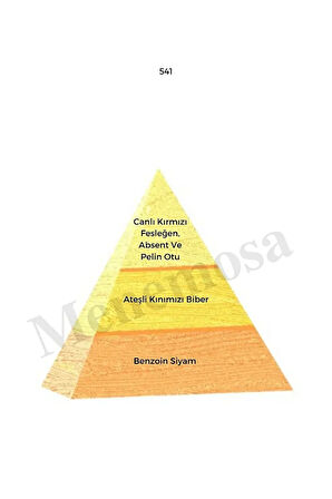 541 Erkek Parfüm Edp 50 ml Oriental - Mnms50541