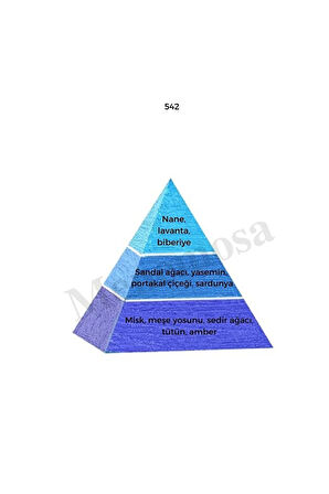 542 Erkek Parfüm Edp 50 ml Fresh - Mnms50542