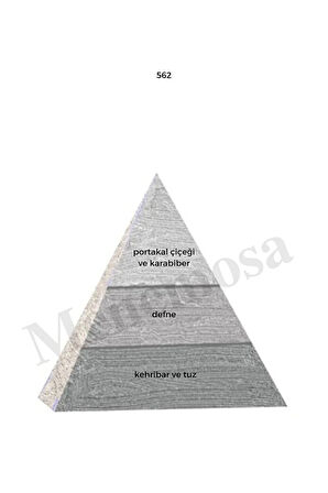 562 Erkek Parfüm Edp 50 ml Woody mnms50562