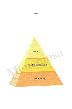 564 Erkek Parfüm Edp 50 ml Oriental - Mnms50564