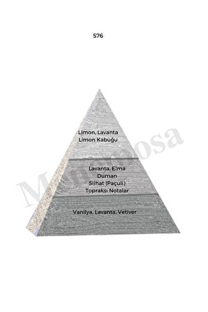 576 Erkek Parfüm Edp 50 ml Woody - Mnms50576