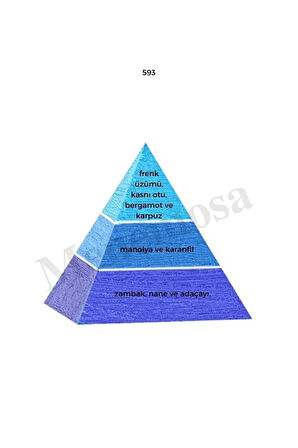 593 254 Erkek / Kadın Parfüm Edp 50 ml Fresh / Floral - Mnms50593254