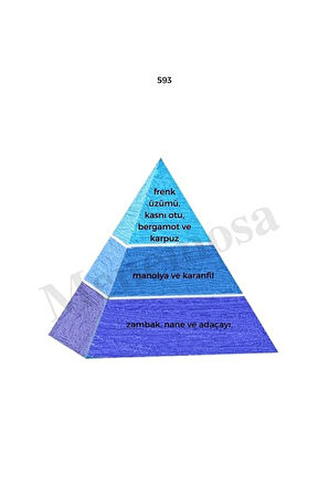 593 517 Erkek / Erkek Parfüm Edp 50 ml Fresh / Woody - Mnms50593517