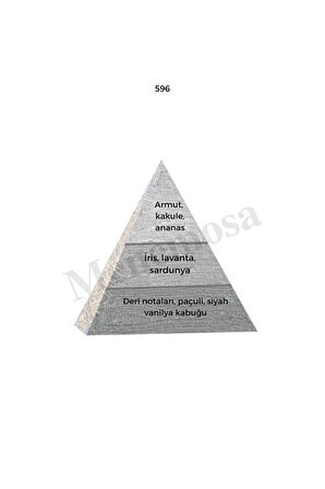 596 Erkek Parfüm Edp 50 ml Woody - Mnms50596