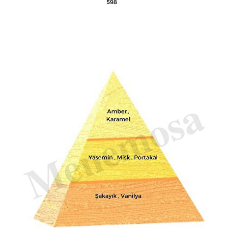 598 + No: 528 Unisex / Erkek Parfüm EDP 50 ml Oriental / Fresh