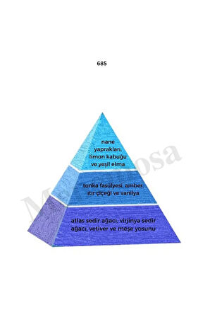 598 685 Unisex/erkek Parfüm Edp 50 ml Oriental/fresh - Mnms50598685