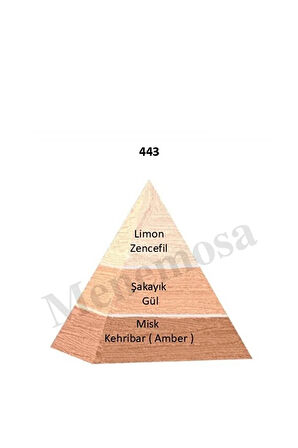 599 443 Kadın / Erkek Parfüm Edp 50 ml Floral / Woody - Mnms50599443