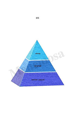 613 Erkek Parfüm Edp 50 ml Fresh mnms50613