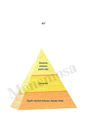 617 Erkek Parfüm Edp 50 ml Oriental - Mnms50617
