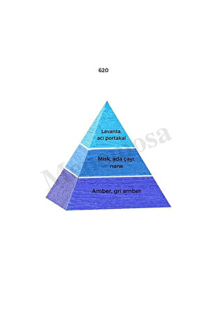 620 Erkek Parfüm Edp 50 Ml Fresh