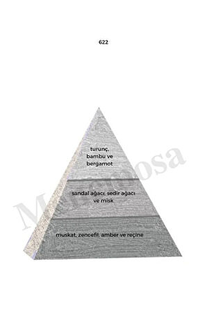 622 Erkek Parfüm Edp 50 ml Woody mnms50622