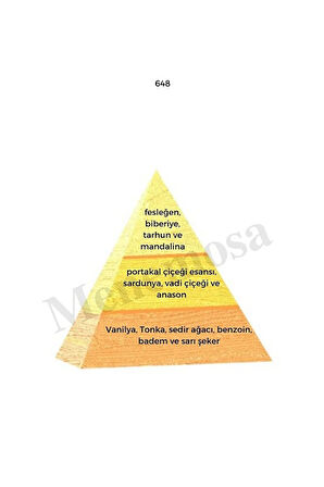 648 Erkek Parfüm Edp 50 Ml Oriental