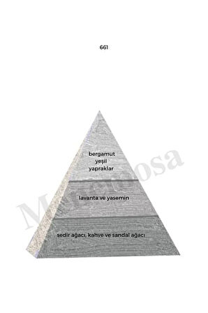 661 Erkek Parfüm Edp 50 Ml