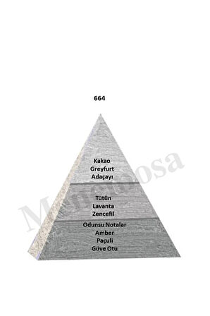 664 + 664 Erkek Parfüm Edp 50 Ml Woody - mnms506642