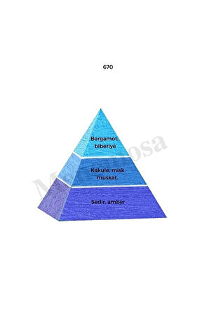 670 Erkek Parfüm Edp 50 ml Fresh - Mnms50670
