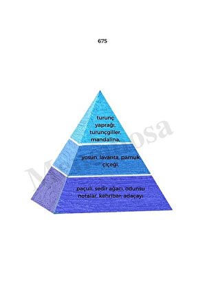 675 Erkek Parfüm Edp 50 ml Fresh - Mnms50675