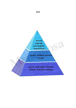 675 + 675 Erkek Parfüm Edp 50 ml Fresh - Mnms506752