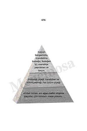 676 Erkek Parfüm Edp 50 ml Woody - Mnms50676