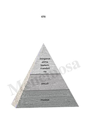 678 Erkek Parfüm Edp 50 ml Woody - Mnms50678