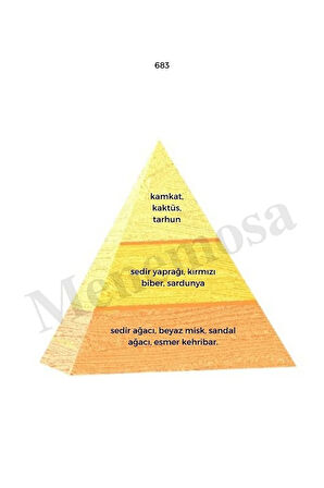 683 Erkek Parfüm Edp 50 ml Oriental - Mnms50683