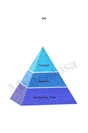 698 Erkek Parfüm Edp 50 ml Fresh - Mnms50698