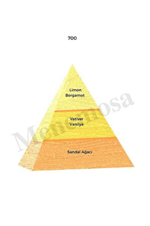 700 Erkek Parfüm Edp 50 ml Oriental - Mnms50700