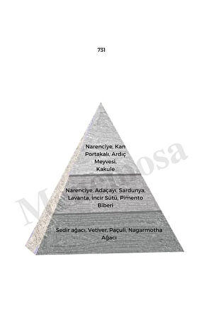 731 Woody Edp 50 ml Erkek Parfüm - Mnms50731