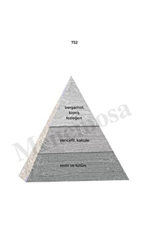 732 Erkek Parfüm Edp 50 ml Woody - Mnms50732