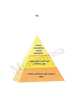 734 Erkek Parfüm Edp 50 ml Oriental - Mnms50734