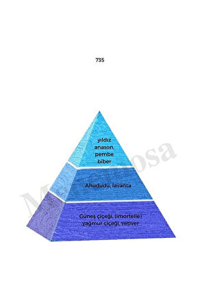 735 Erkek Parfüm Edp 50 ml Fresh mnms50735