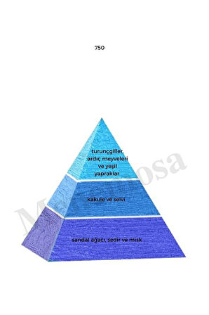 750 Erkek Parfüm Edp 50 ml Fresh mnms50750