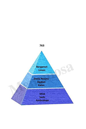 763 Unisex Parfüm Edp 50 Ml Fresh