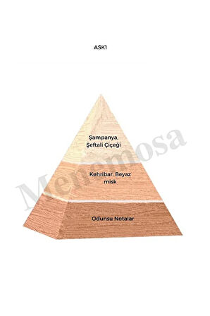 Ask1 Kadın Parfüm Edp 50 ml Floral - Mnms50ask1