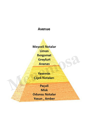 Avenue + No: 476 Erkek / Unisex Parfüm 50 ml edp Oriental / Woody  - Mnms50ave476