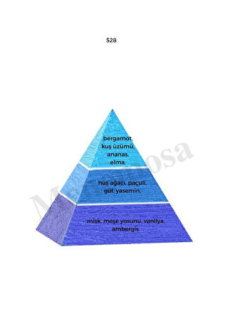 Avenue + No: 528 Erkek  Parfüm 50 ml edp Oriental / Fresh  - Mnms50ave528