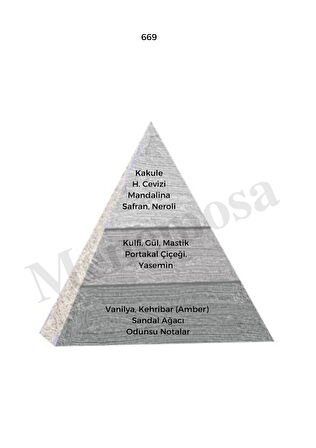 Avenue + No: 669 Erkek  Parfüm 50 ml edp Oriental / Woody  - Mnms50ave669