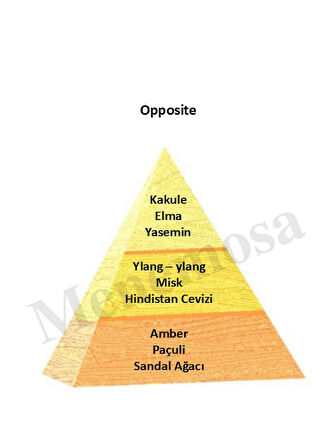 Avenue + Opposite Erkek  Parfüm 50 ml edp Oriental - Mnms50aveops